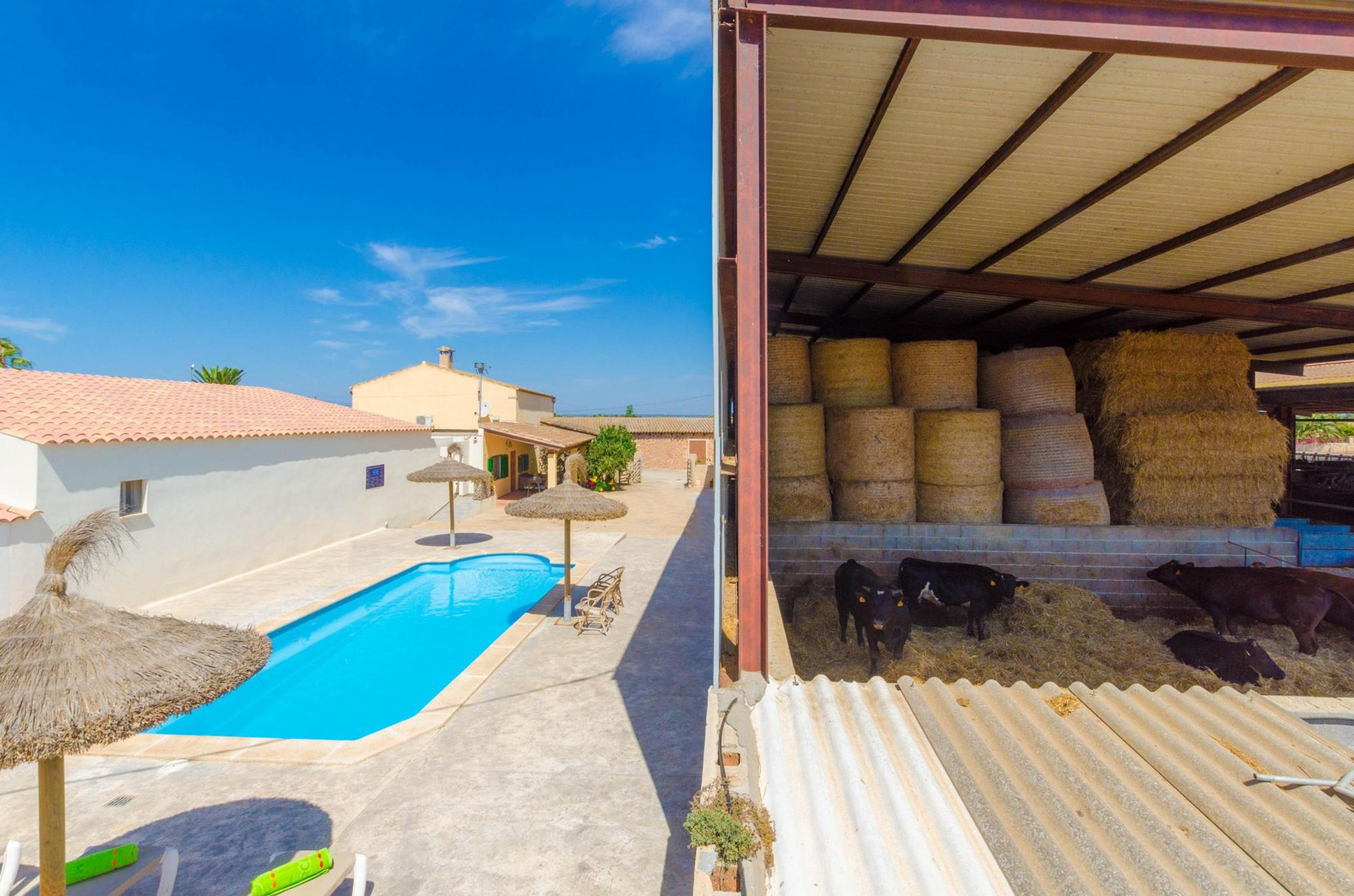 SA CASETA DE SES VAQUES.SON COVAS (SA VAQUERIA 2) - Chalet with shared pool in CAMPOS. Free WiFi