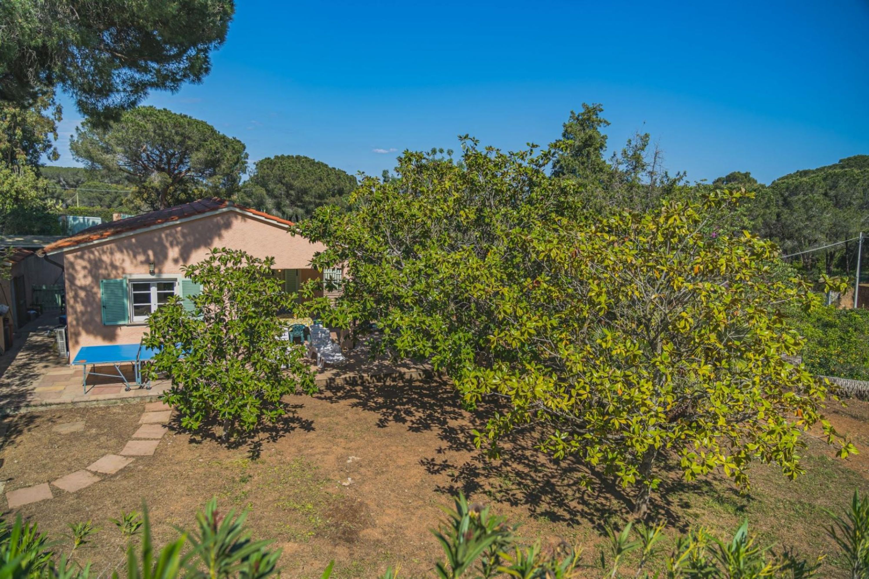 Villa Capo Perla immersa in un giardino di magnolie a pochi passi dal mare-VILLA CAPO PERLA