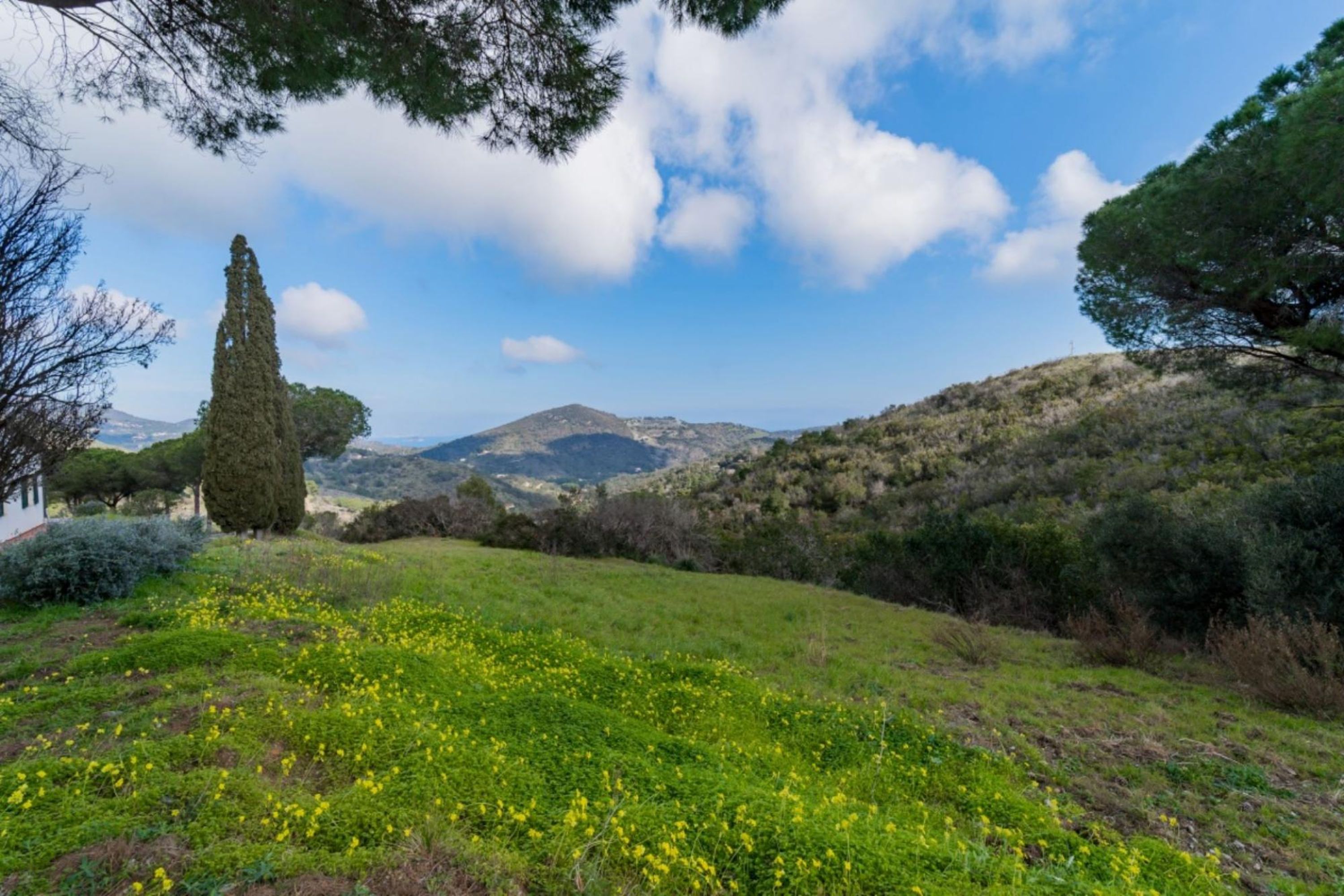 Appartamento Campo al Pero 1 nel cuore selvaggio dell'isola, per gli amanti della natura e della tranquillità-CAMPO AL PERO - BILO 1