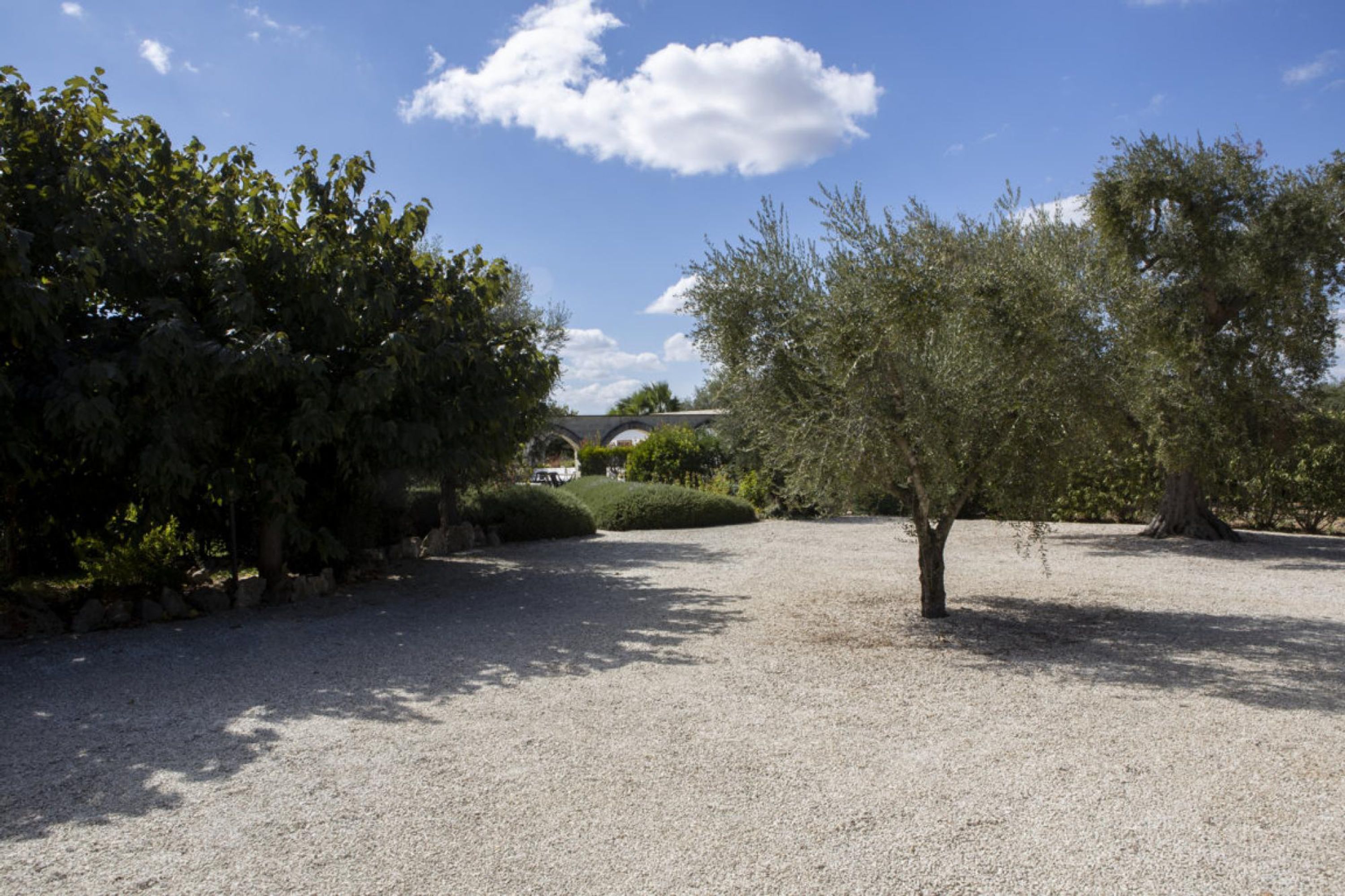 Trullo Bouganville a San Michele salentino