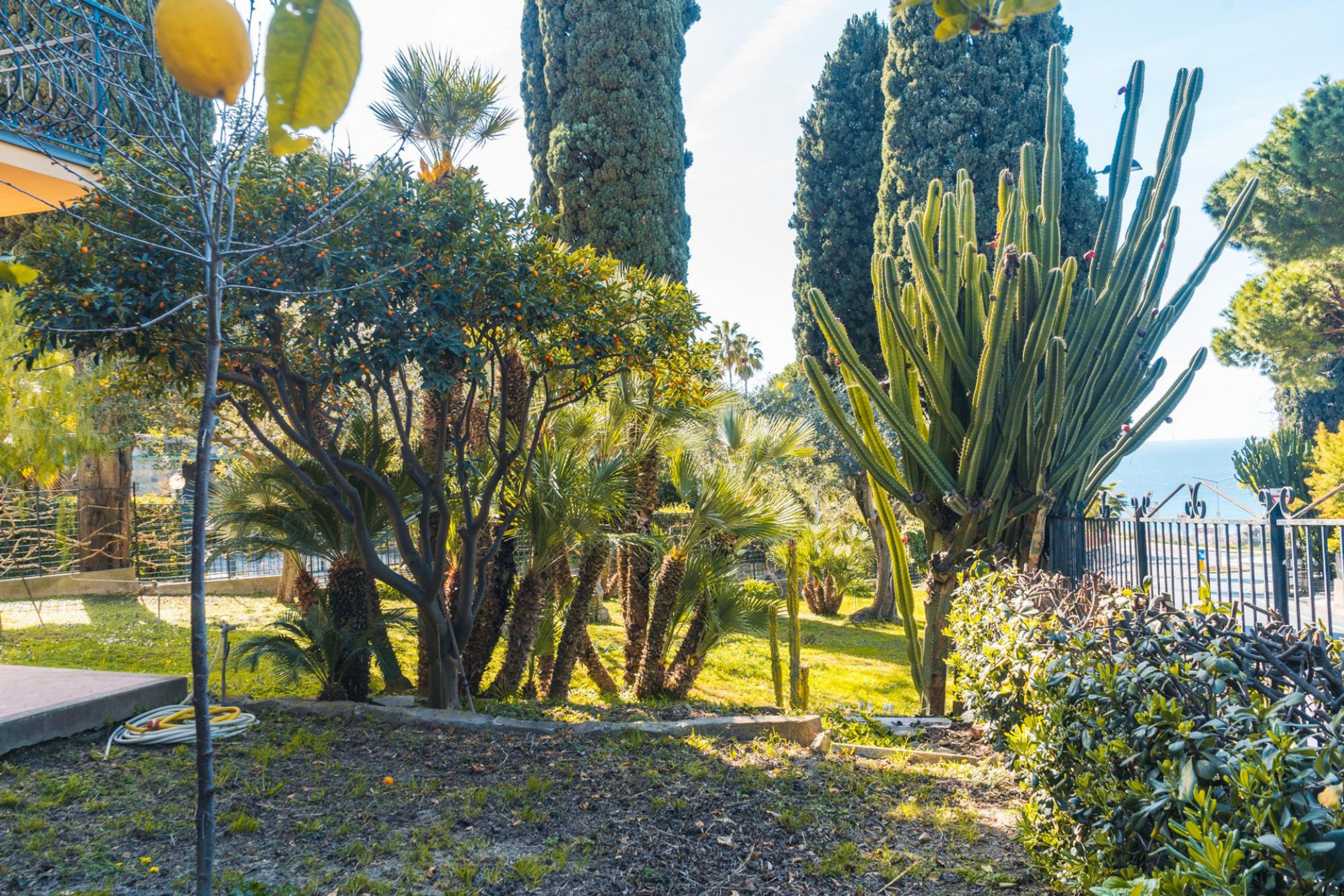 Appartamento al limone con vista sul giardino e sul mare