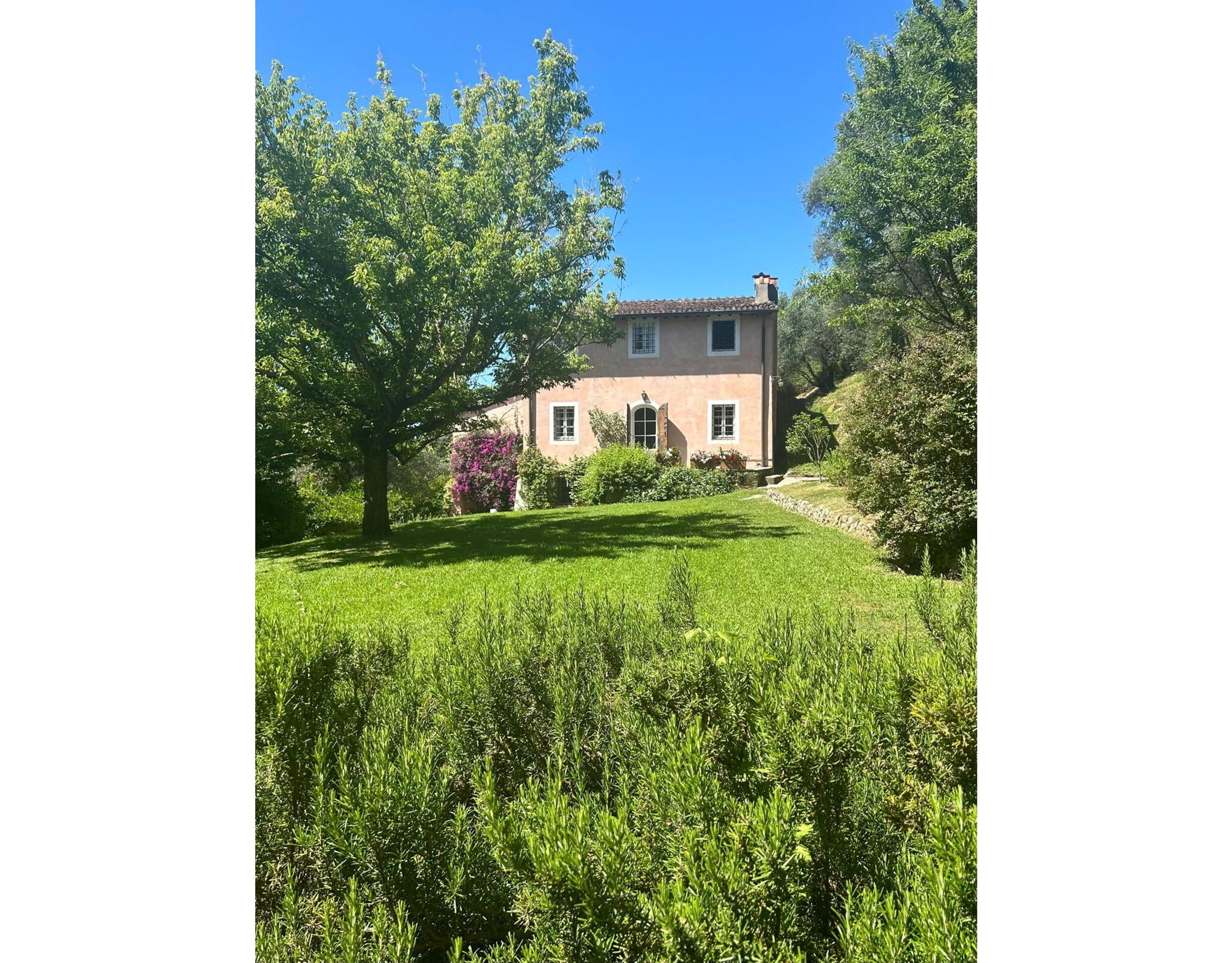 La Casa Dei Limoni - Camaiore, Toscana - La Casa Dei Limoni