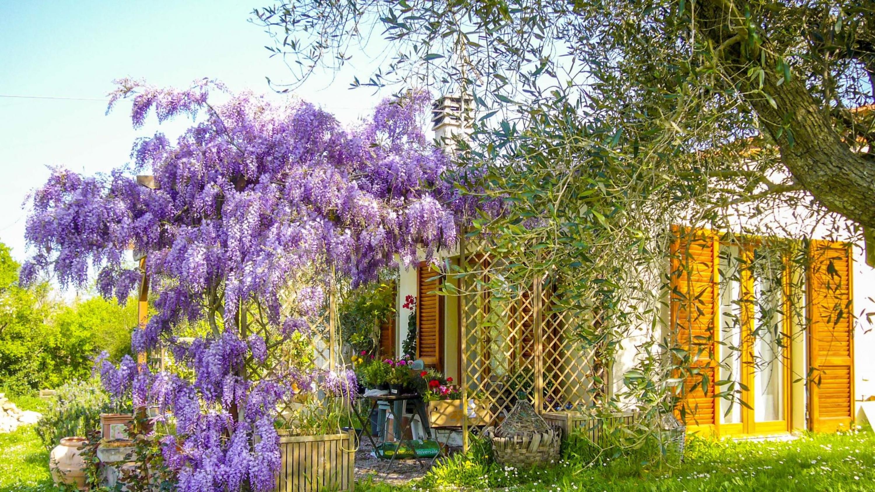 Villa unifamiliare con giardino in zona tranquilla vicino a Portoferraio.-CASA VIOLET