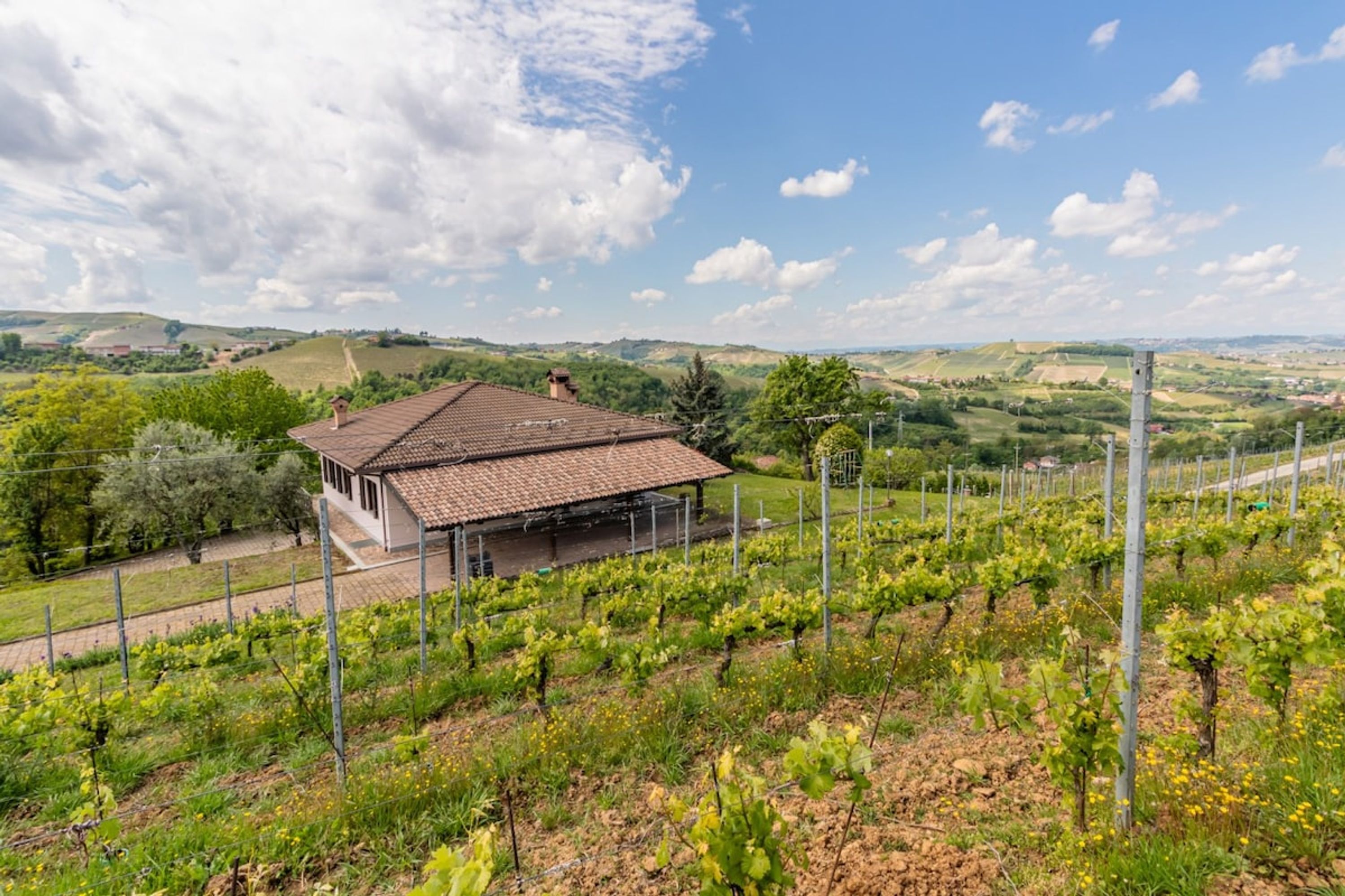 Villa panoramica immersa tra i vigneti delle Langhe