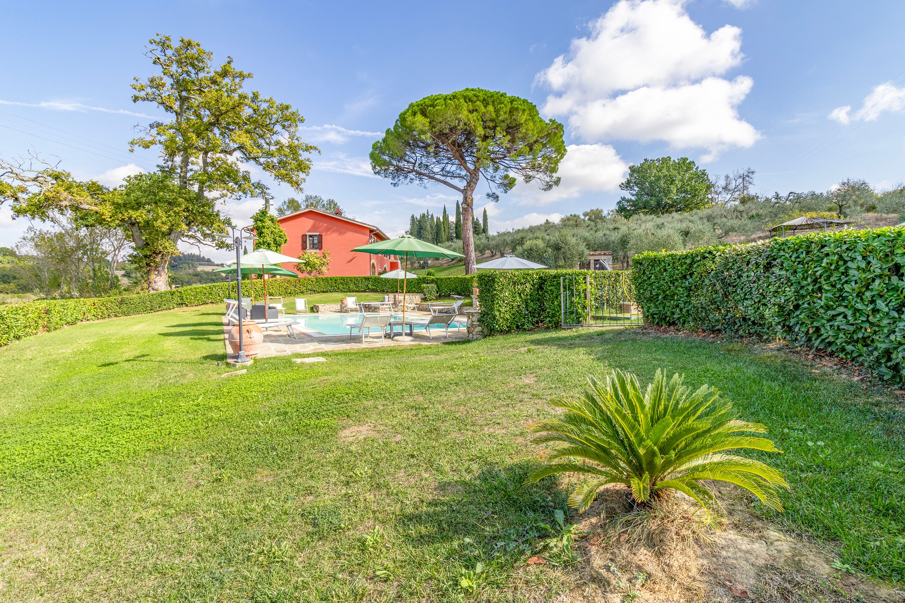 Piscina condivisa Maramaldo Sangiovese, Chianti