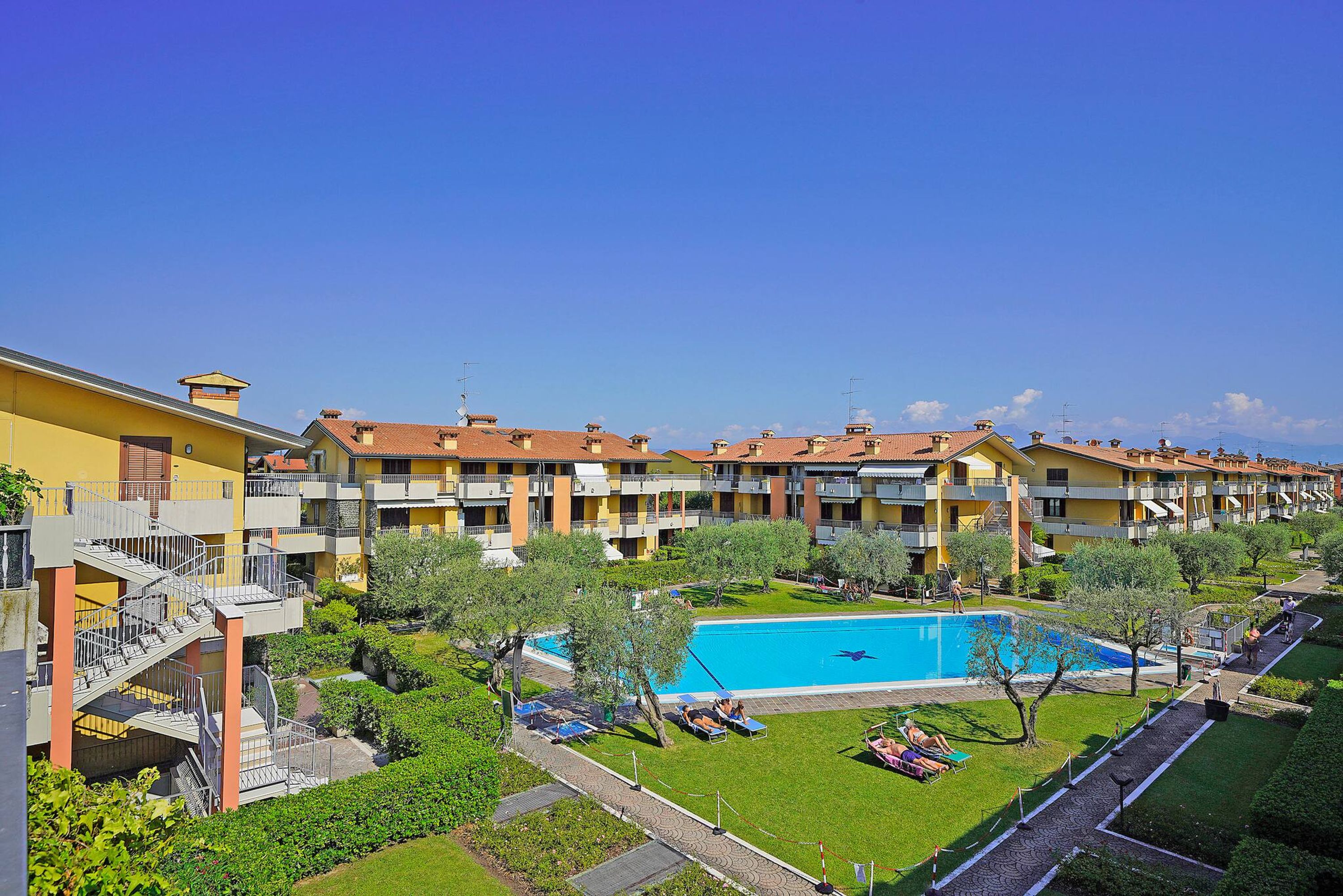 Villaggio dei fiori - Viola